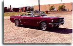 Restored Mustang